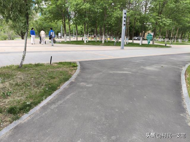 公园绿树成荫，路边花草芬芳，行人休闲漫步，享受快乐时光