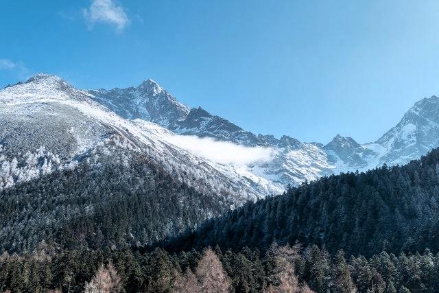 魂归雪山！53岁女登山家登顶后遇雪崩，挚爱怀中永别