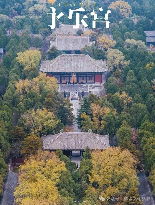 秋深景更美！运城最绚烂时刻到了！