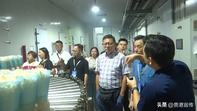他们去了贵港这些地方→