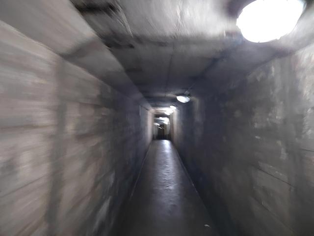 床车游记(黑龙江省黑河市孙吴县)