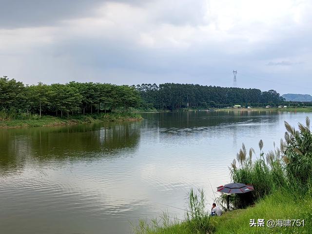 南海金沙岛国家湿地公园