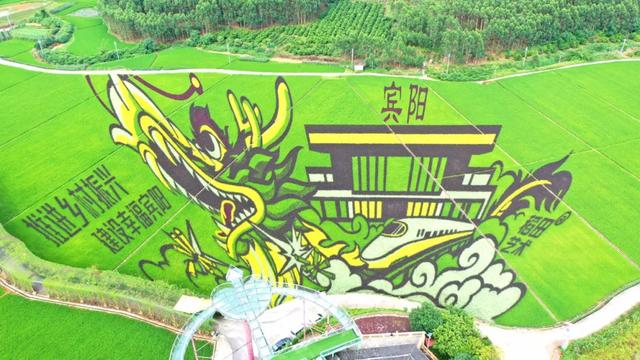 乐享田园·趣游南宁│稻香壮韵寻趣之旅