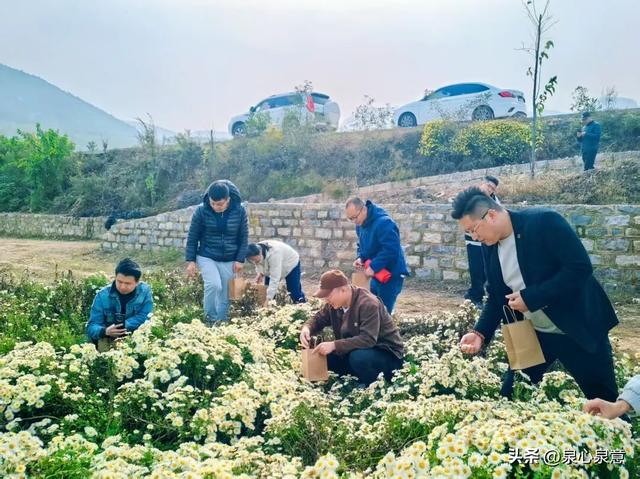 济南有个“神秀谷”，菊花海、红叶，吃炖鸡……周末就去这里啦！