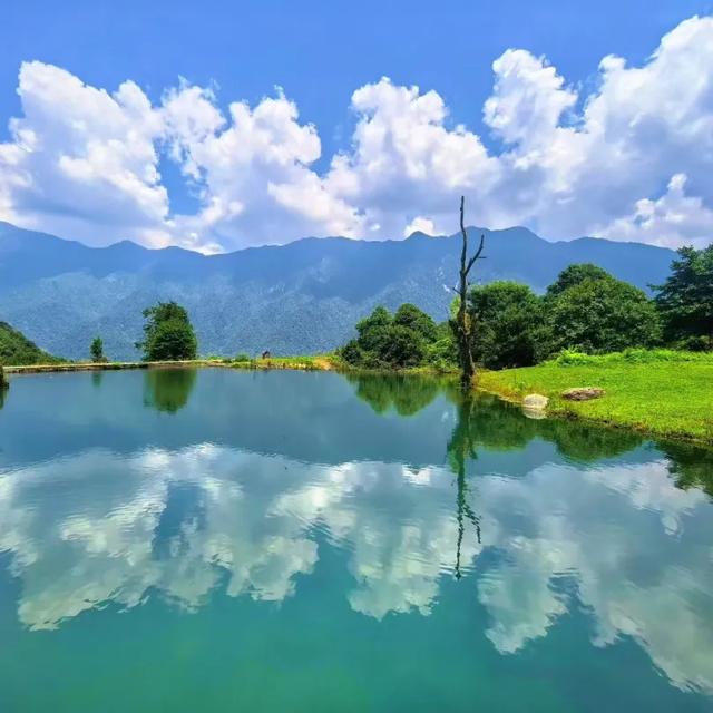 致谢师恩，踏秋出游！黑竹沟景区祝所有教师节日快乐！