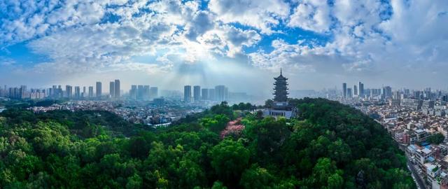 逛完你的逛你的，桂城公园真的逛不完！免费畅玩→