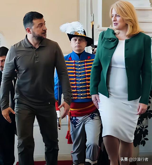 捷克斯洛伐克美女总统，火了全网，超高颜值，体态丰腴，真的很美