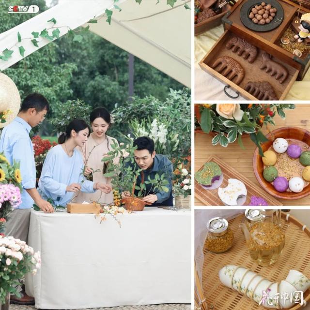 CCTV-1《花开中国》，今晚关注“园林之城”——苏州