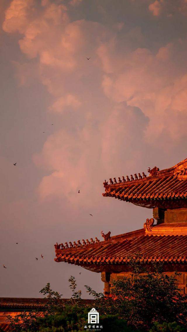 故宫四季美景一览，震撼高清美图预警！