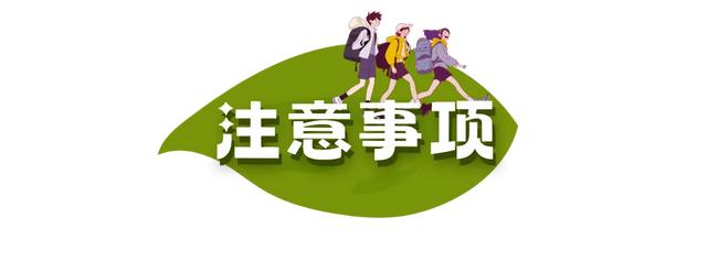 周五宠粉日|运动赏景两不误!这份公园运动指南请查收,更有辰山植物园门票等你免费领