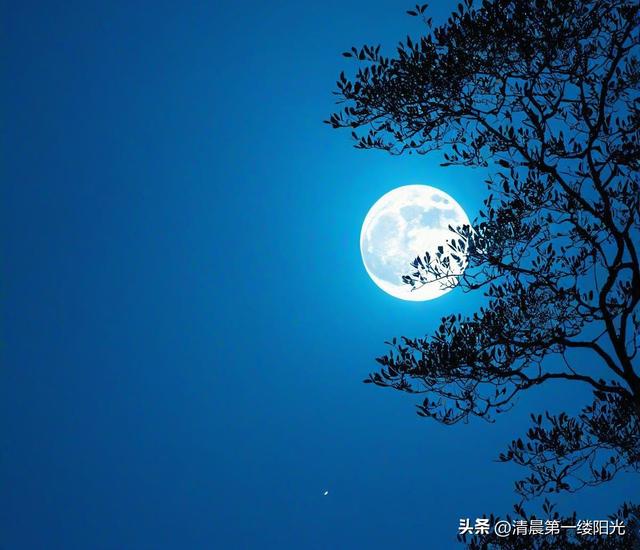 古诗词赏析：《月夜忆舍弟》·杜甫