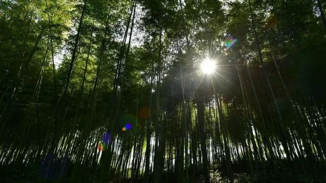 情景相生好风光｜这些才是绵竹最值得去的地方！不接受反驳……