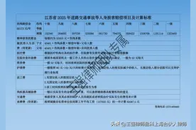 最新最全的2025年江苏交通事故赔偿标准图片