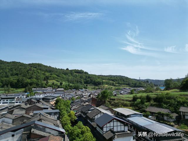 四川行(68)古蜀道——金牛道60公里徒步⑤普安到翠云廊沿途航拍