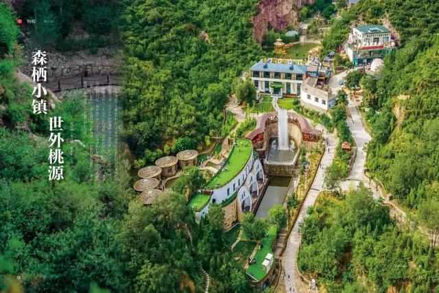 初冬，来森栖小镇给自己放个假！煮茶、读书、民宿，满满都是治愈