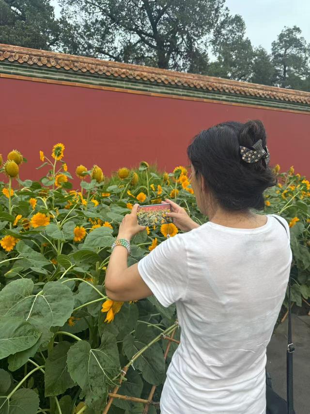 焕活中轴 | 景山紫禁之巅，望光影中轴