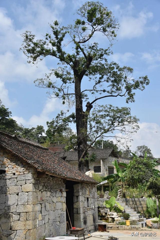 雨补鲁，天坑里的600年古村落，至今仅有一条路进出！