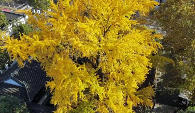 这里是江南诗词最多的城市,它的美有谁懂?