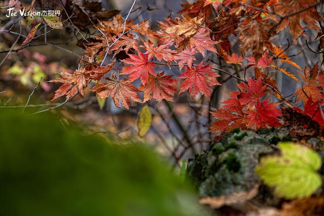 辽宁五女山秋景藏彩蛋！雾中五女山，红叶未满，意境已绝！