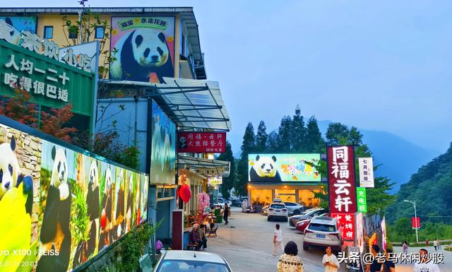 我带着相机，在耿达避暑