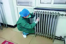 入冬了为什么还有蚊子？再等等，10℃以下就好了图片