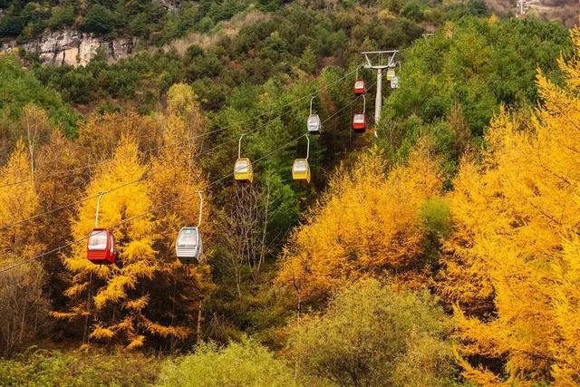 赏秋正当时!自驾来汉中,赴一场秋日视觉盛宴~
