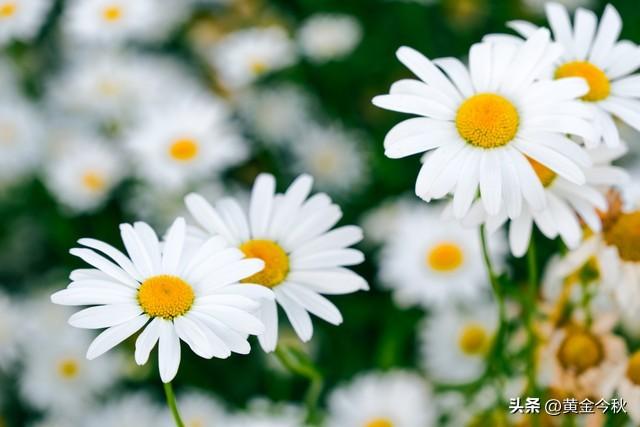 别人在狂奔，我才起步，学AI有年龄限制吗？不服老，还是该放弃？