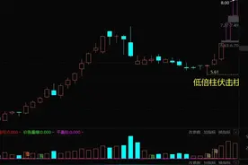 牛股探索的基本课程第二讲：平量柱和倍量柱图片