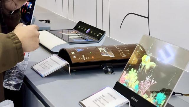 正午·12点 | “迟到的金黄”来了！沈水湾银杏正值最佳观赏期