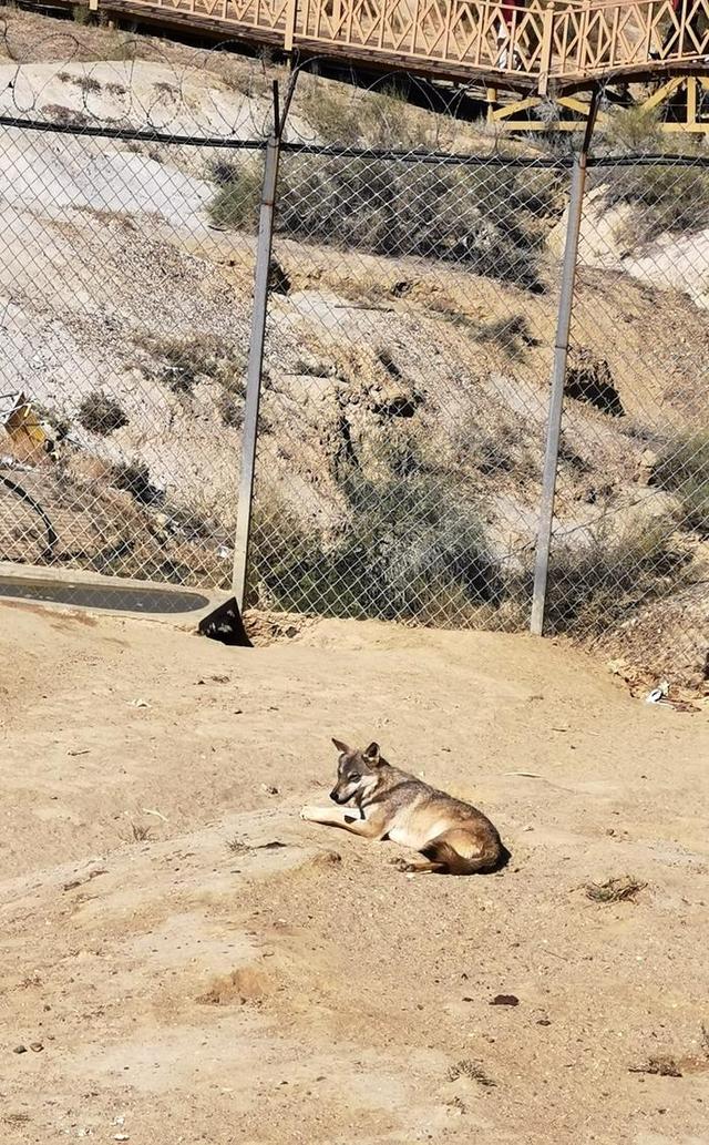 游新疆乌伦古湖海上魔鬼城