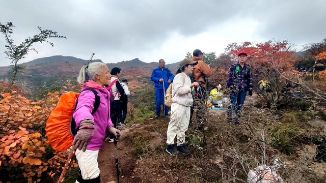 雾锁风挡山，红叶引客来