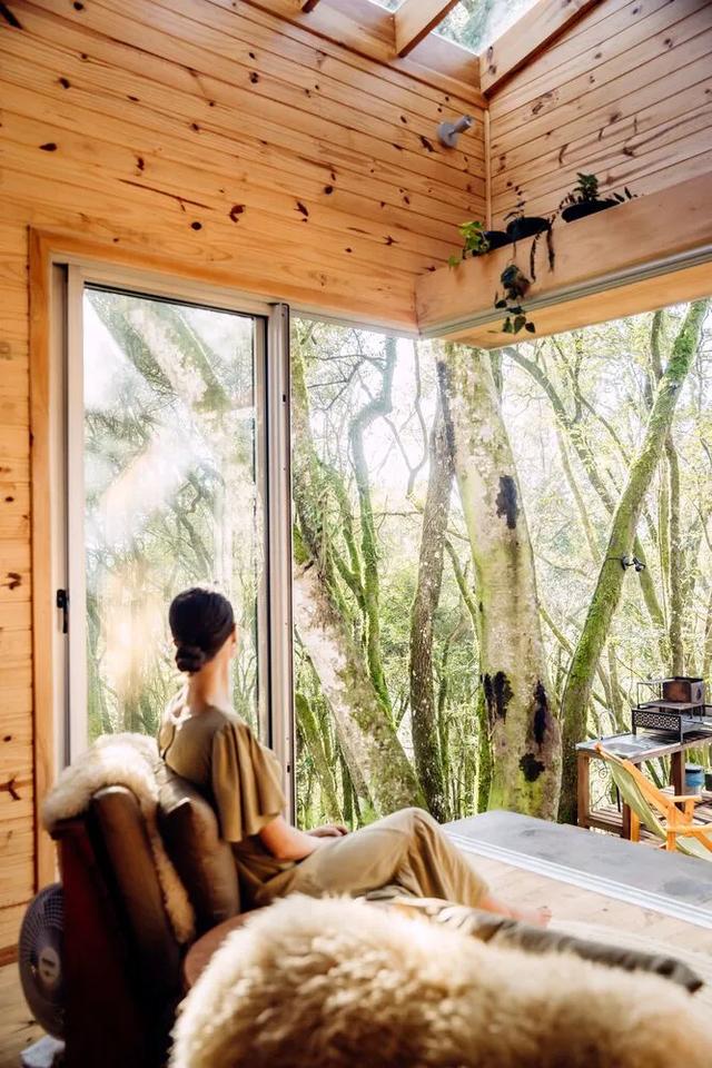 35㎡的森林拥抱,沉浸式短住秘境小屋