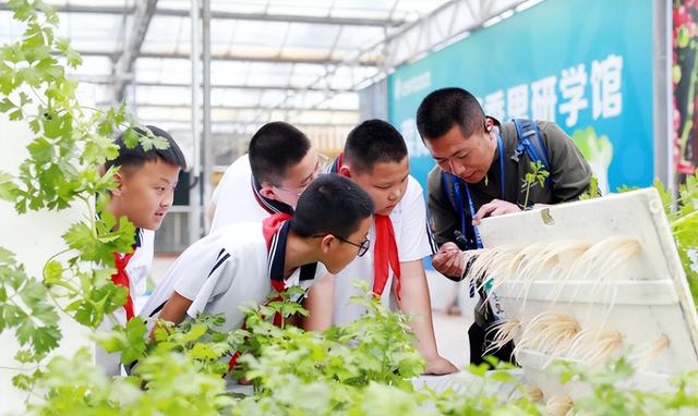 “行知潍坊”中华文化研学旅游 | 潍坊寿光：菜盐文化赋能研学育人