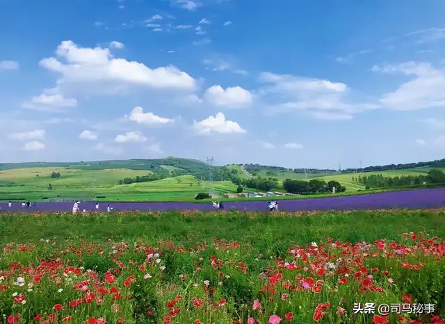 小兴安岭藏宝地！南岔冰雪狂欢、红色记忆、北药盛宴