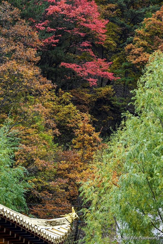 古意秋风三万里（D32）-从纳洛村到卓克基
