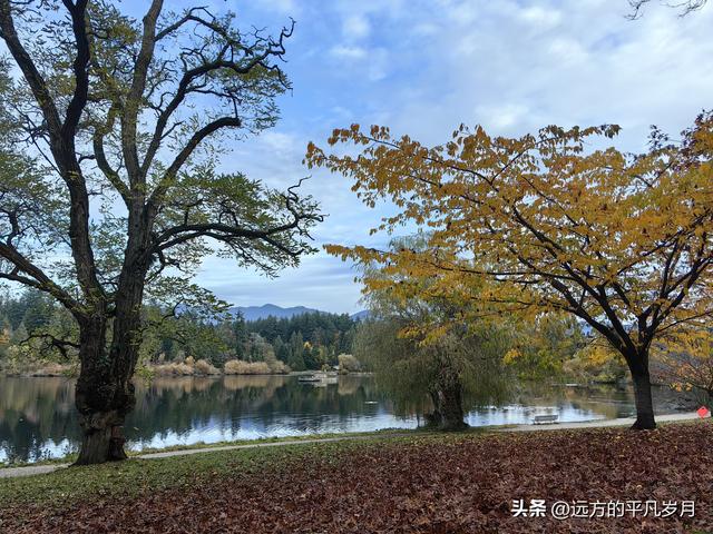 温哥华游记（一）