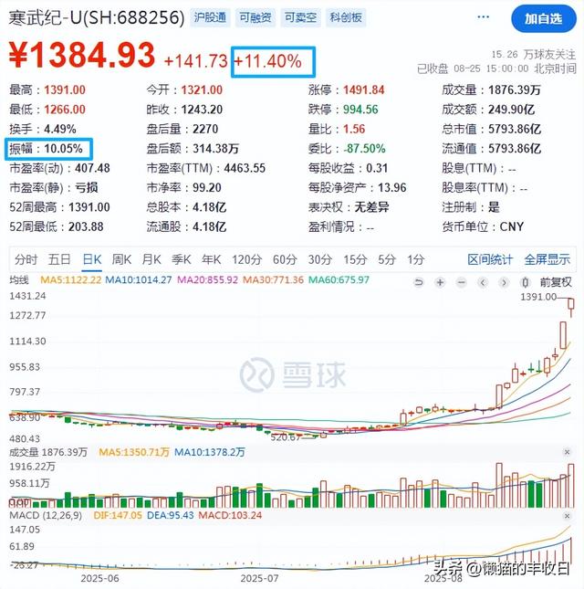 下一个重要机会