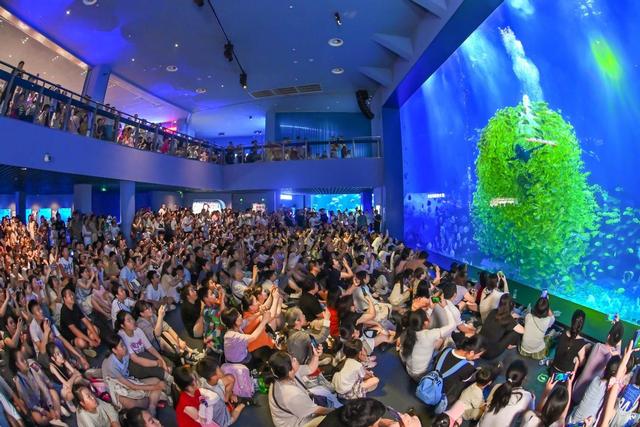 郑州海昌海洋公园暑期迎百万客流：海洋纳凉狂欢引爆夏日，豫泰文旅融合燃动中原
