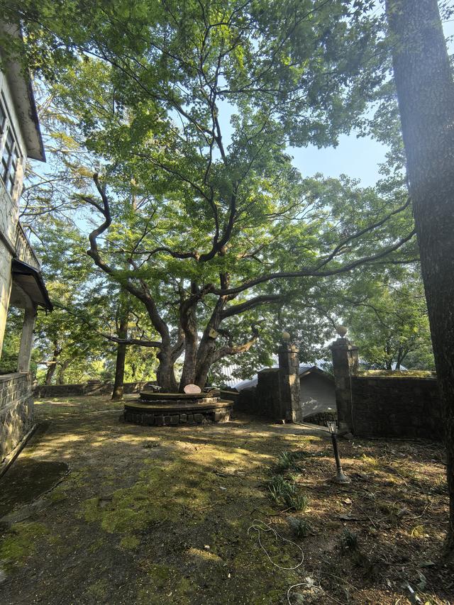 浙江湖州市德清县莫干山国家风景名胜区游记（下）