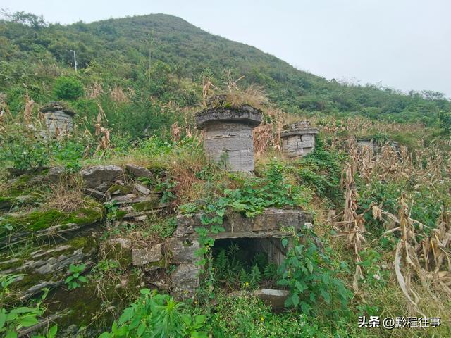 寻找一片僧人墓地，佛门高僧竟然最后落得尸骸无存