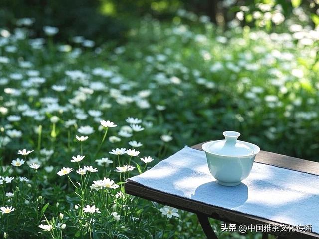 嘉州茶聚，韵逸时光