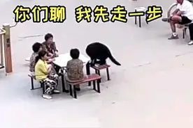 一狗子买菜回来，中途坐凳上专心听大妈唠嗑忘归家，冲上热搜图片