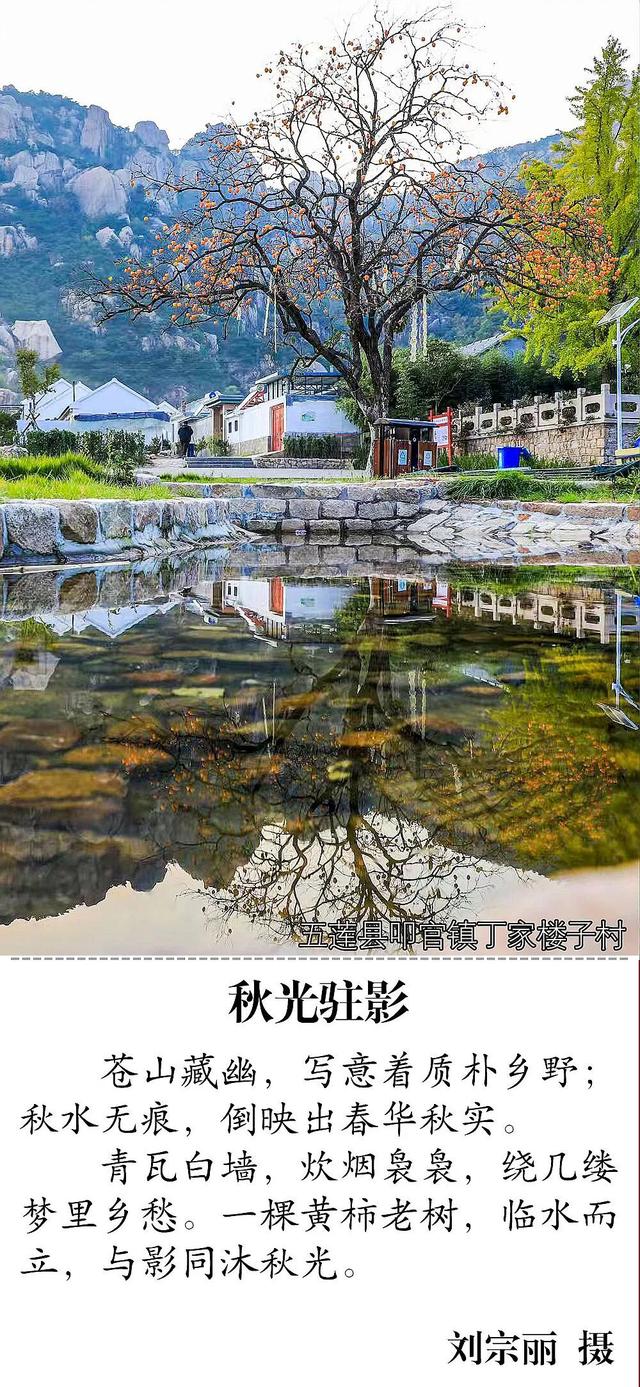 错过再等一年！日照这些地方超好看！随手一拍都是大片！