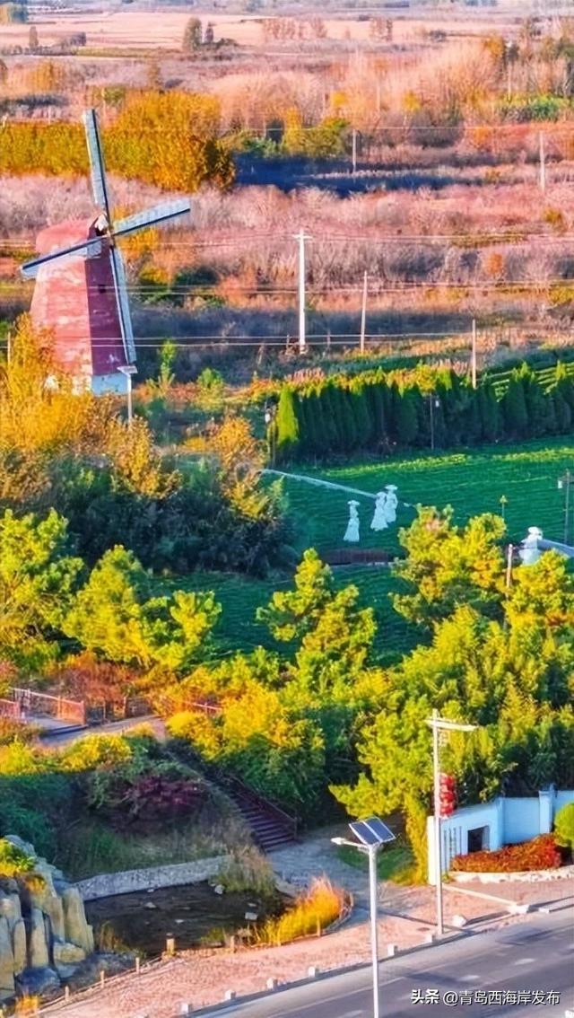 走不出这画了，我已被西海岸的秋景迷倒 🥹