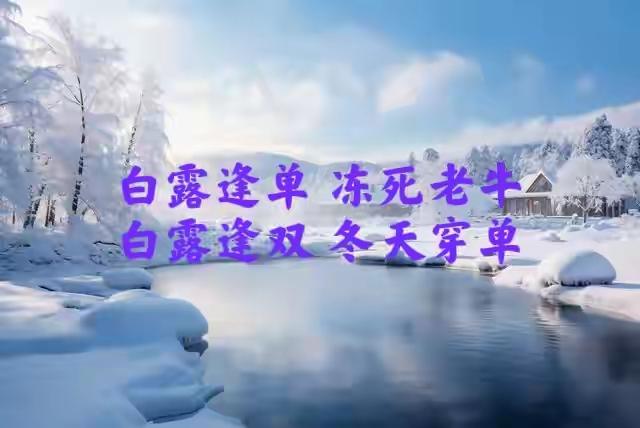 2025伞白露逢双：民间谚语与气候变化的启示