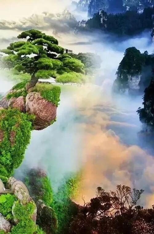 这才是真正的人间仙境，云雾缭绕，诗情画意的美！