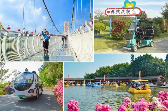 秋假来了！“不知道去哪儿耍”，来新津就对了