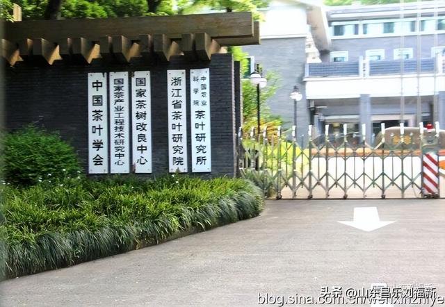 杭州324路公交车沿途风光（皖浙沪旅游122）