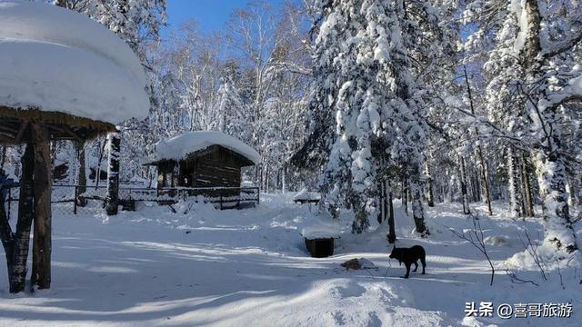 穿越林海雪原，抵达龙江之巅：大秃顶子山冰雪奇缘