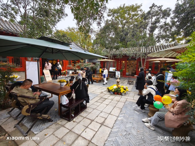 15分钟617人登顶龙亭大殿，传统观光景区迈向沉浸夜游的关键一步